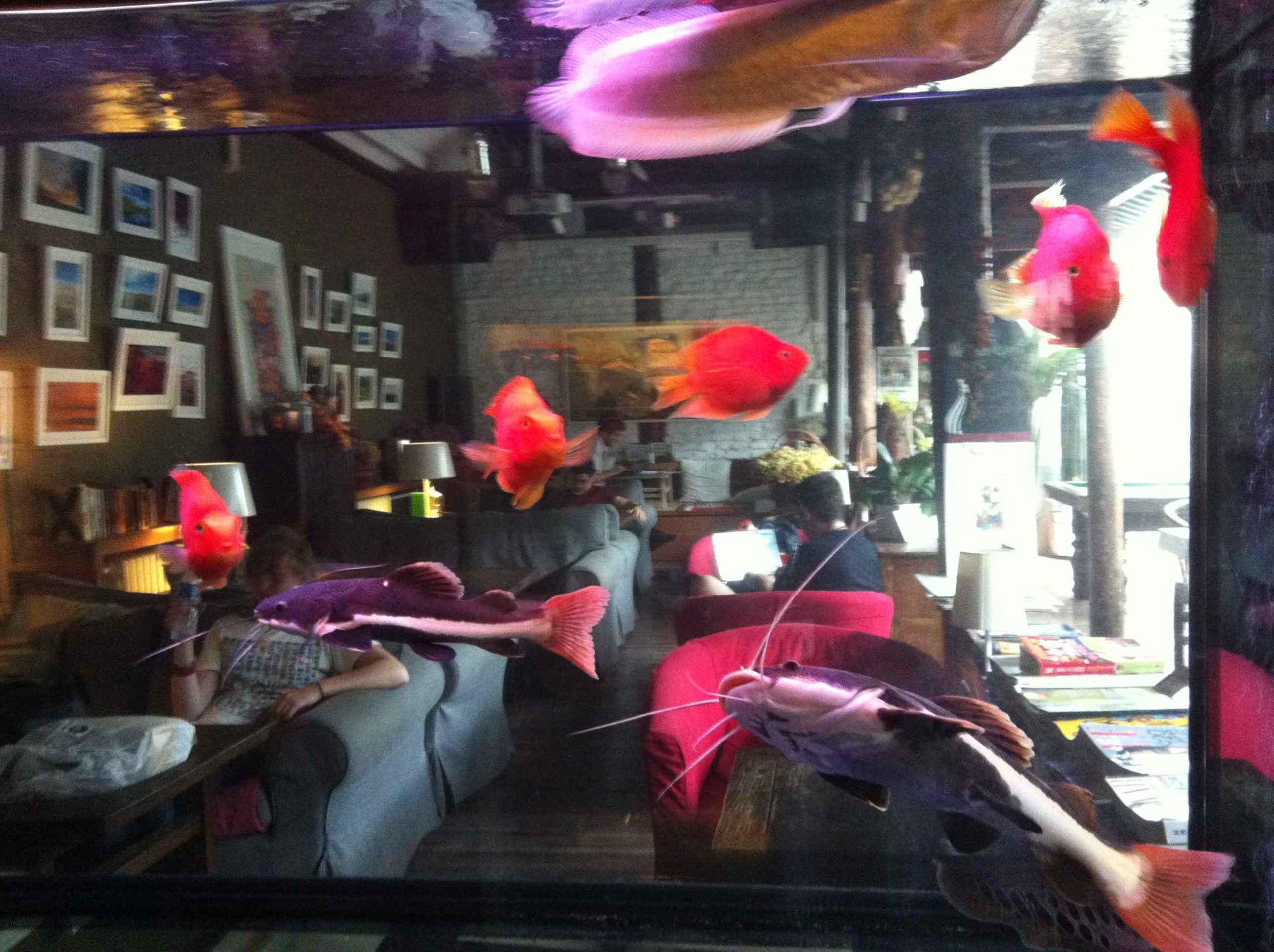 journey through middle earth