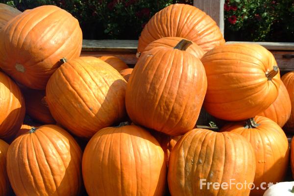 the smell of pumpkins, the sound of voices