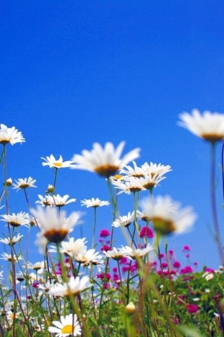 What were you thinking?